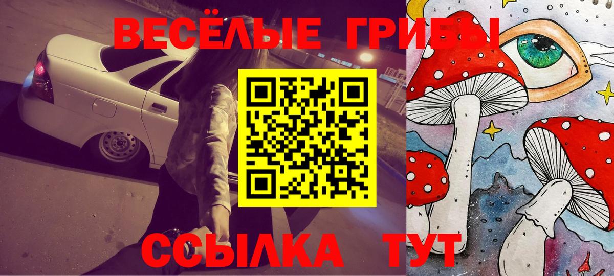 Аксай  Галлюциногенные грибы мухоморы  Вход с VPN  наркотики  Галлюциногенные грибы прущие грибы 